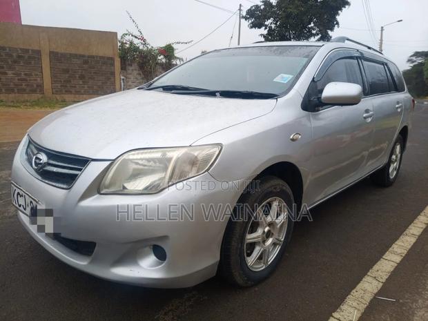 Toyota Corolla Fielder 2010 Silver