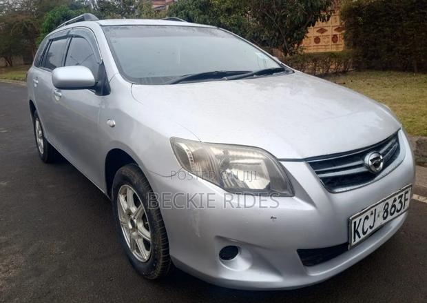Toyota Corolla Fielder 2009 Silver