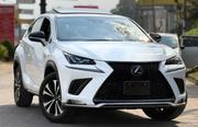 Lexus NX 2019 for sale