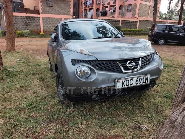 Nissan Juke 2013 Gray