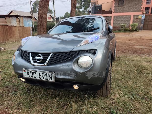 Nissan Juke 2013 Gray