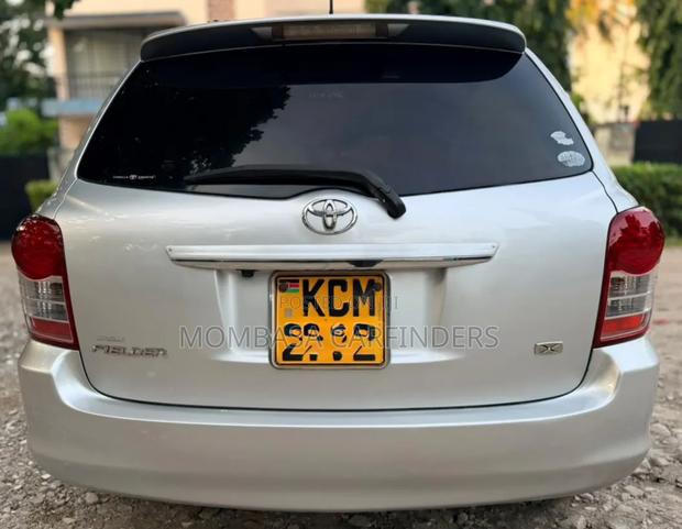 Toyota Corolla Fielder 2010 Silver