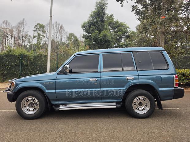 Mitsubishi Pajero 1995 Blue