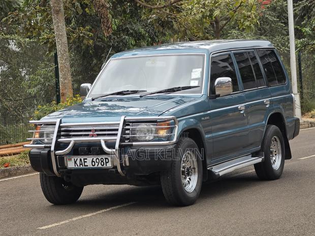 Mitsubishi Pajero 1995 Blue