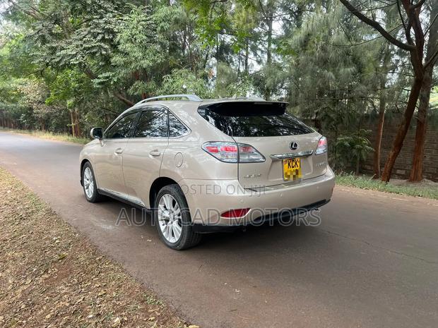 Lexus RX 2010 Gold