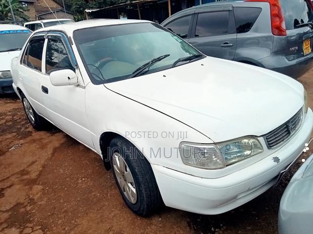 Toyota Corolla 1998 White