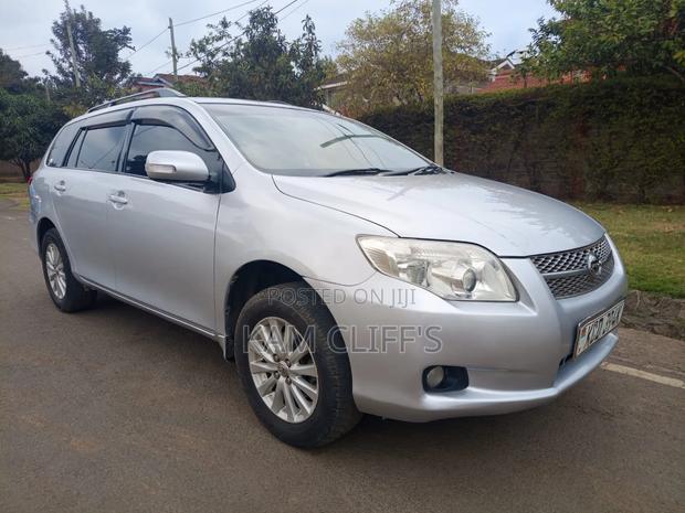 Toyota Corolla Fielder 2009 Silver