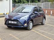 Toyota Vitz 2019 Blue for sale