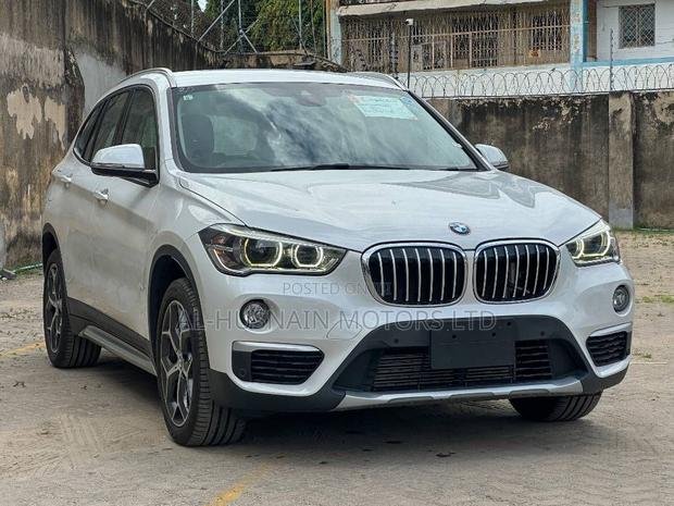 BMW X1 2019 Pearl