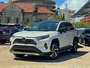 Toyota RAV4 LE AWD 2019 Pearl for sale