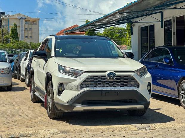 Toyota RAV4 LE AWD 2019 Pearl