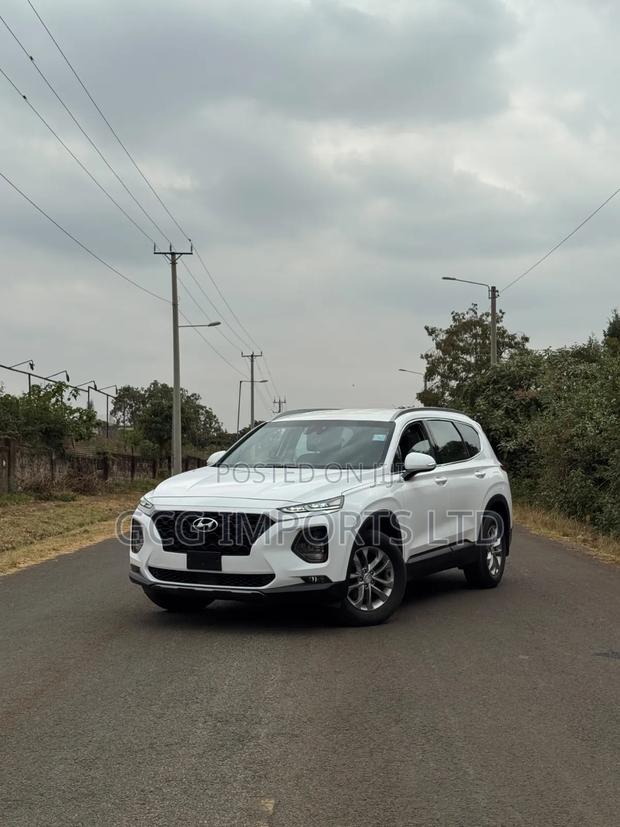 Hyundai Santa Fe 2019 White