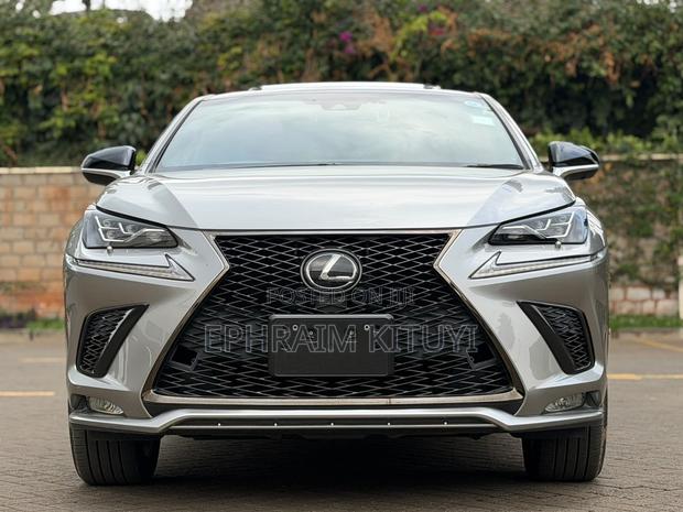 Lexus NX 2019 Silver