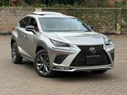 Lexus NX 2019 Silver for sale