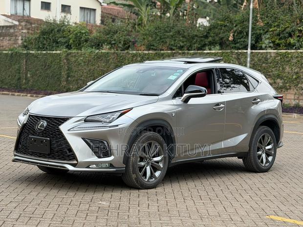 Lexus NX 2019 Silver