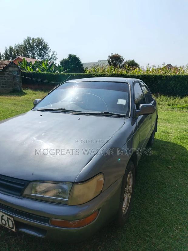 Toyota Corolla 1997 Gray