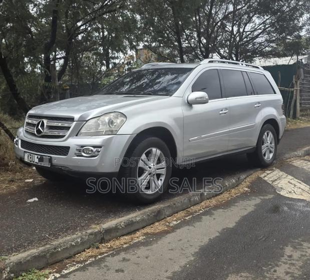 Mercedes-Benz GL-Class GL 320 BlueTEC 2009 Silver