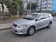 Toyota Corolla Fielder 2009 Silver for sale