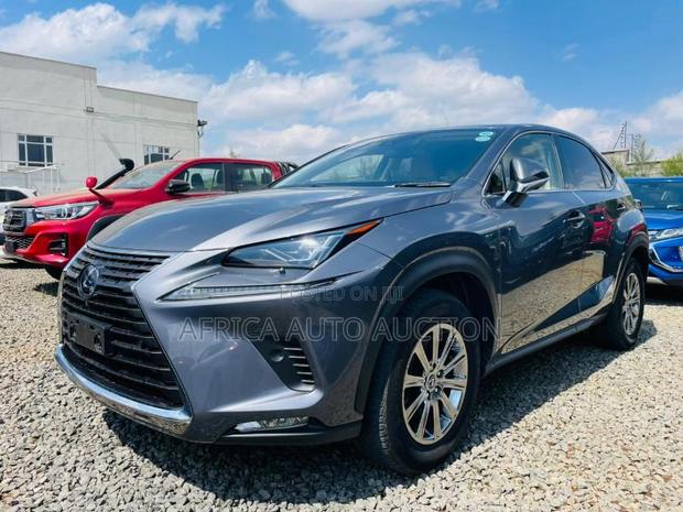 Lexus NX 2020 Gray