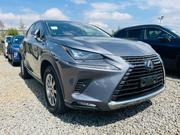 Lexus NX 2020 Gray for sale