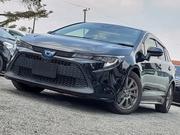 Toyota Corolla 2019 Black for sale