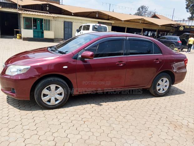 Toyota Axio 2009 Maroon