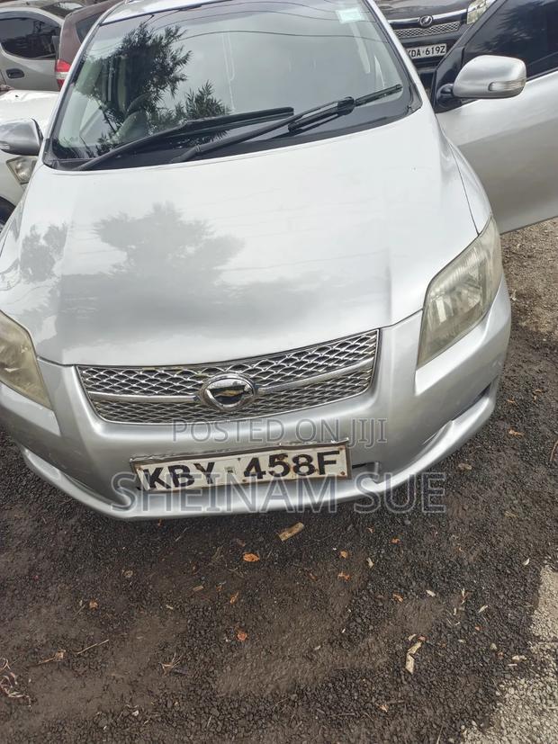 Toyota Corolla Fielder 2007 Silver