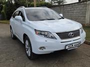 Lexus RX 2010 Pearl for sale