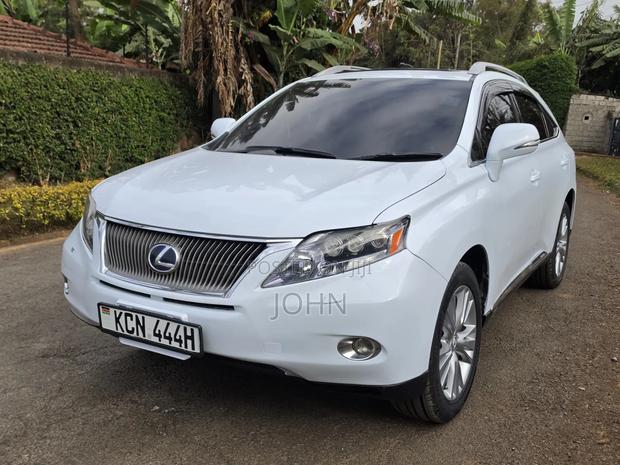 Lexus RX 2010 Pearl