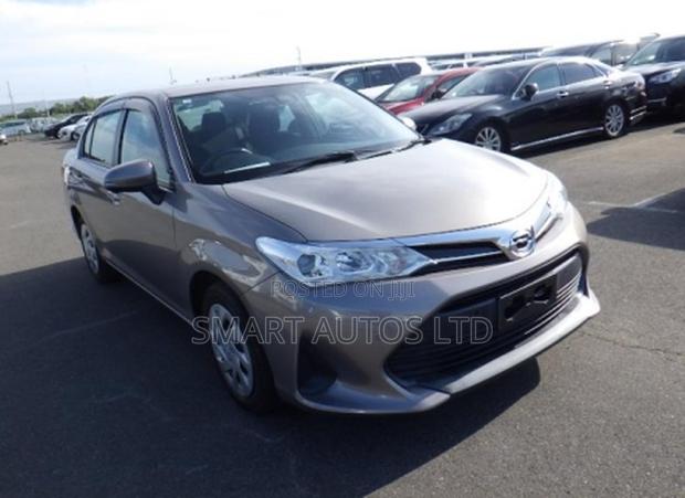 Toyota Axio 2019 Brown