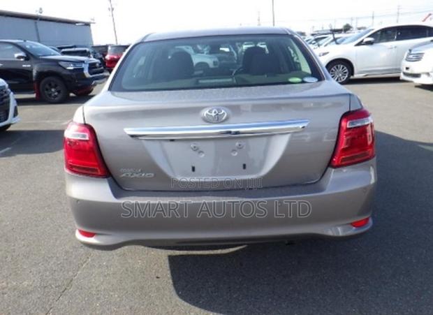 Toyota Axio 2019 Brown