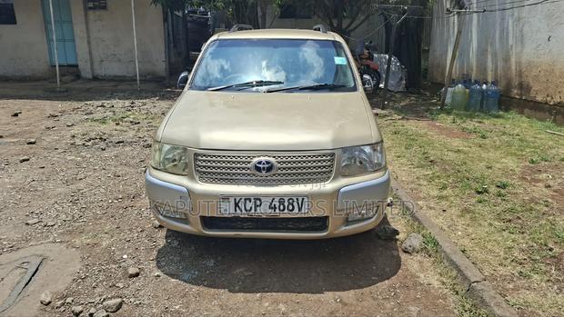 Toyota Probox 2010 Gold