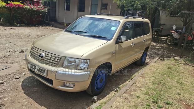 Toyota Probox 2010 Gold