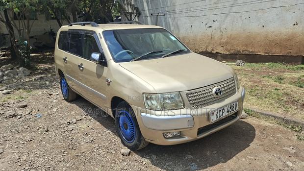 Toyota Probox 2010 Gold