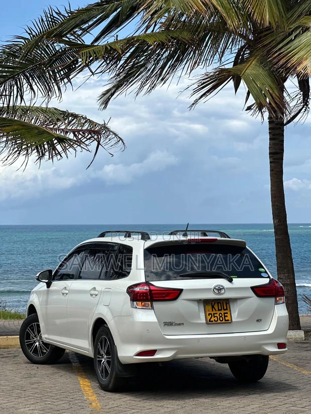 Toyota Corolla Fielder 2019 Pearl
