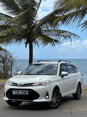 Toyota Corolla Fielder 2019 Pearl for sale