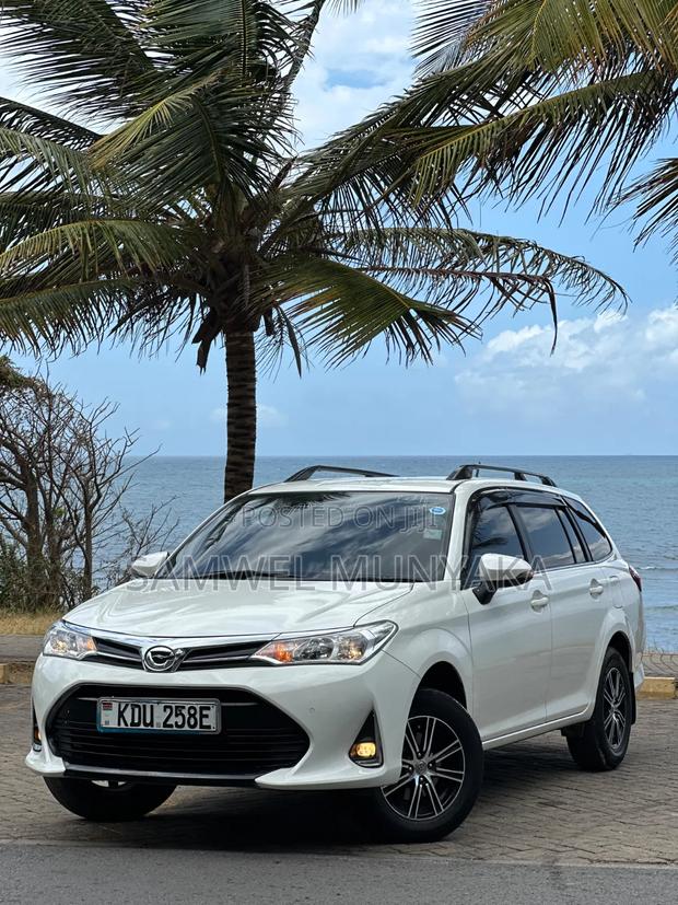 Toyota Corolla Fielder 2019 Pearl
