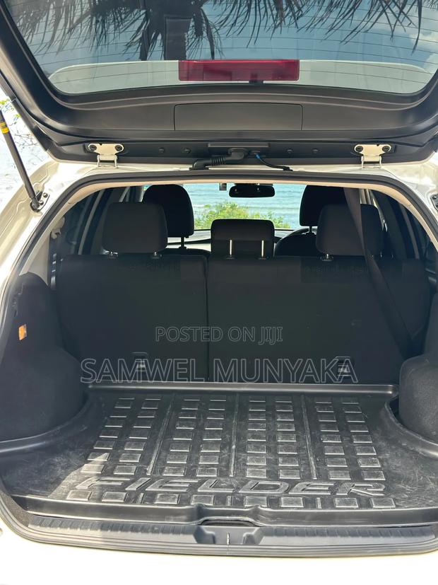 Toyota Corolla Fielder 2019 Pearl
