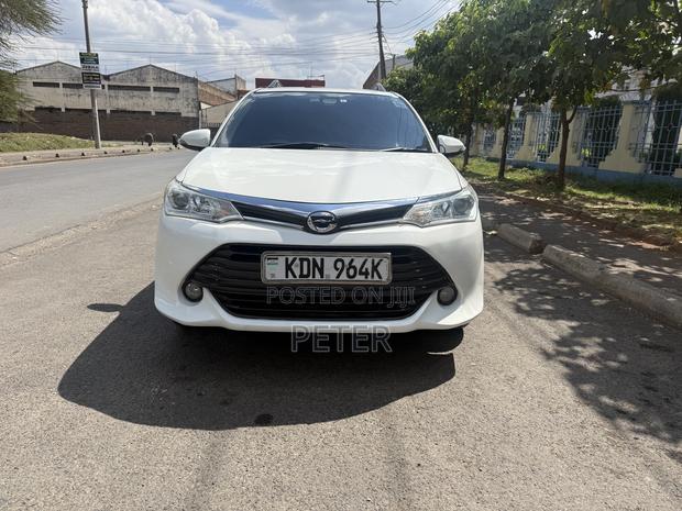 Toyota Corolla Fielder 2016 Pearl