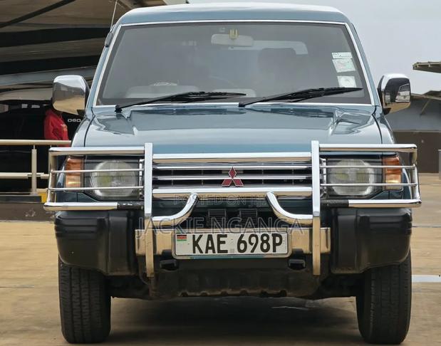 Mitsubishi Pajero 1995 Blue