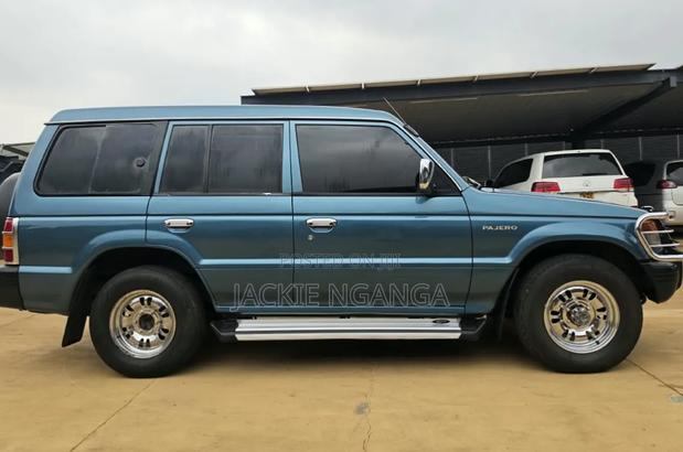 Mitsubishi Pajero 1995 Blue