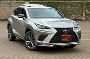 Lexus NX 2019 Gray for sale