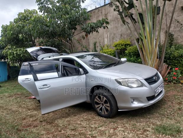 Toyota Corolla Fielder 2009 Silver