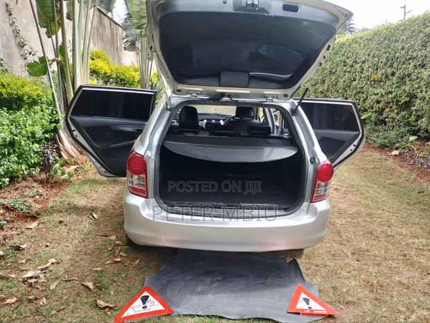 Toyota Corolla Fielder 2009 Silver