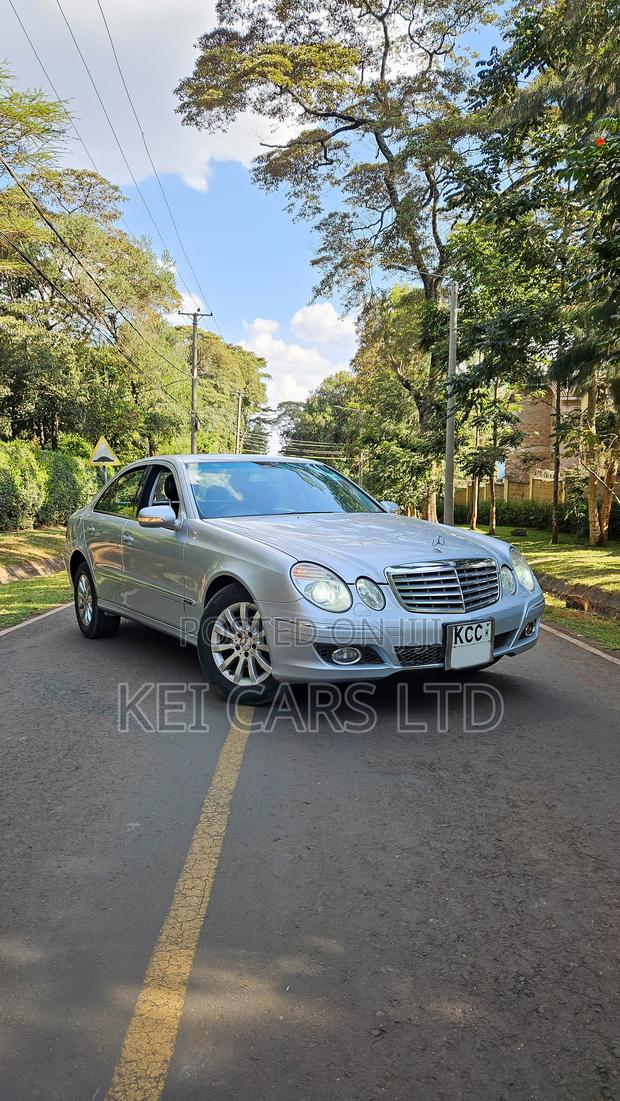 Mercedes-Benz E300 2009 Silver
