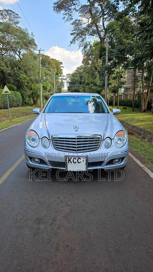 Mercedes-Benz E300 2009 Silver