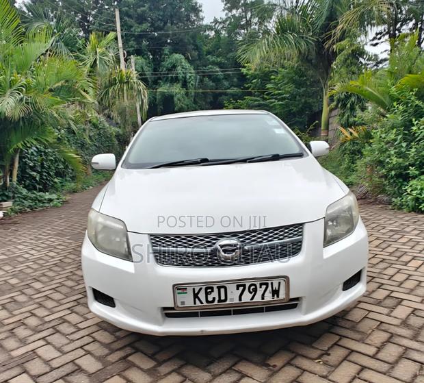Toyota Corolla Fielder 2009 White
