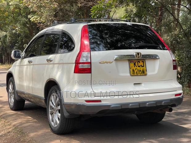 Honda CR-V 2011 Pearl