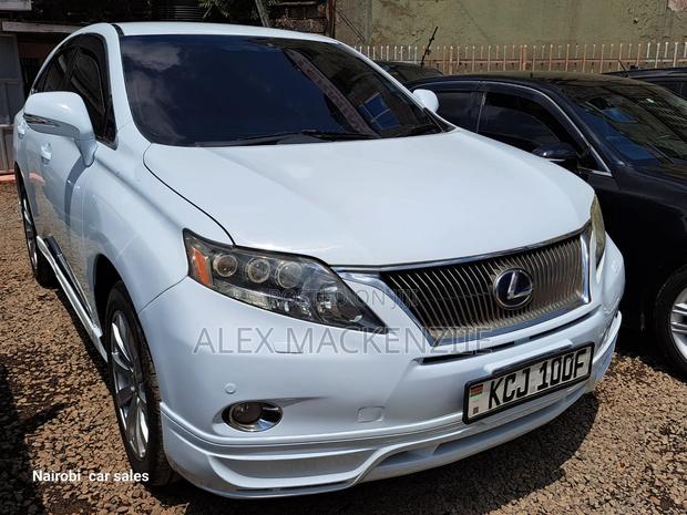 Lexus RX 2010 White