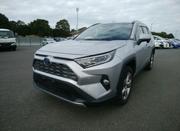 Toyota RAV4 2019 Silver for sale